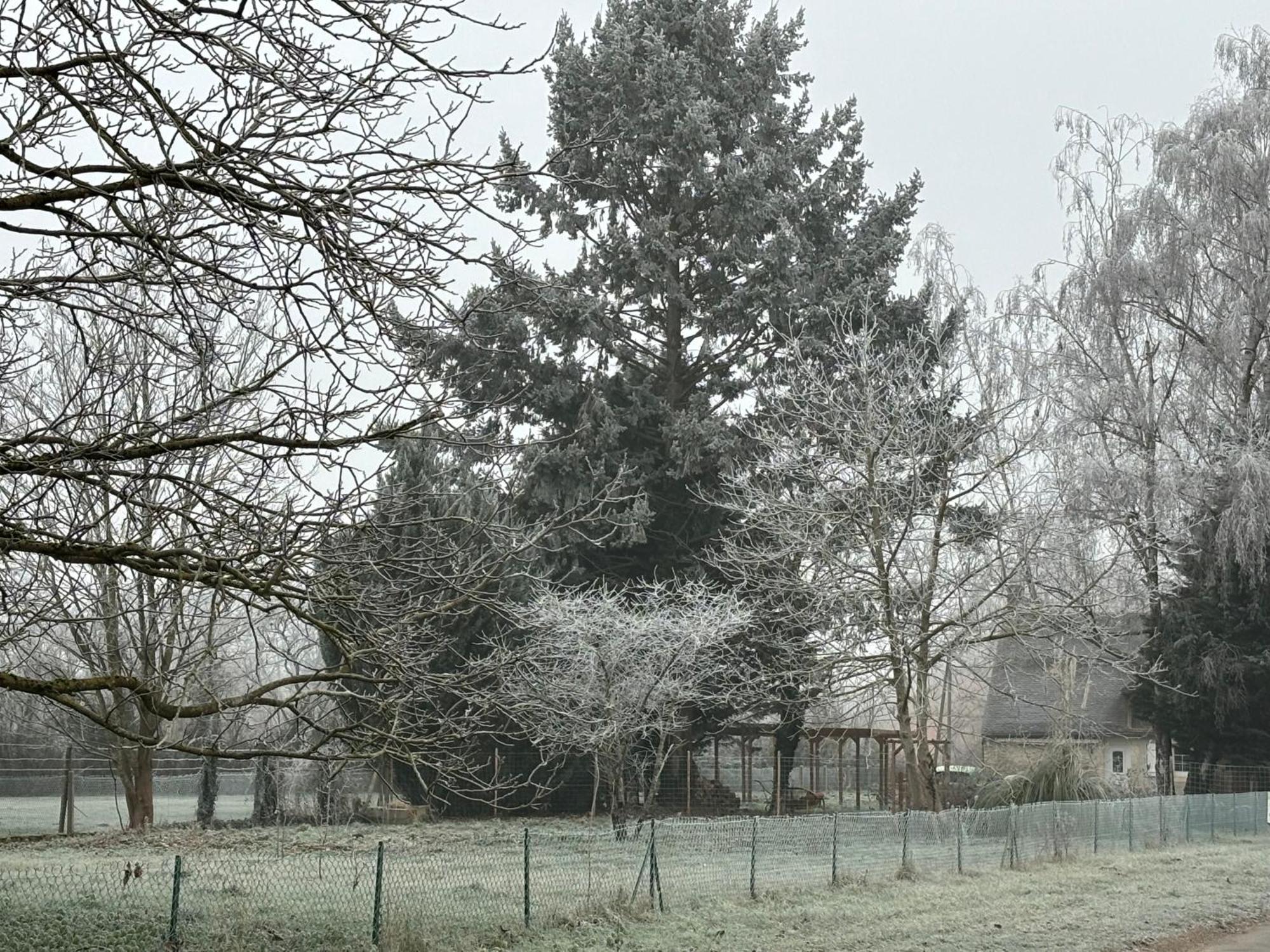 La Haute Tremiere Charenton-du-Cher Dış mekan fotoğraf
